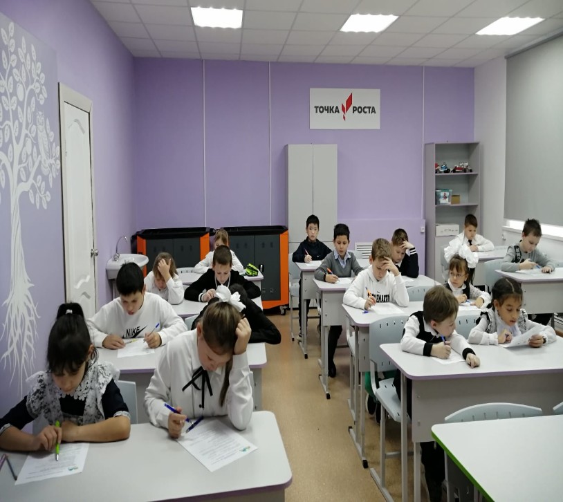 Олимпиада по окружающему миру.